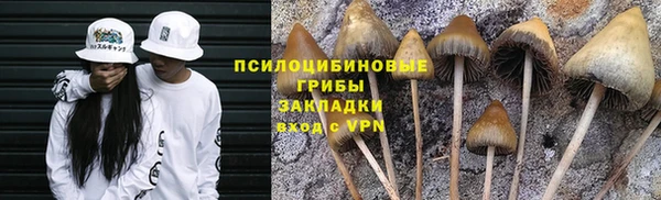 соль курить ск Лиски