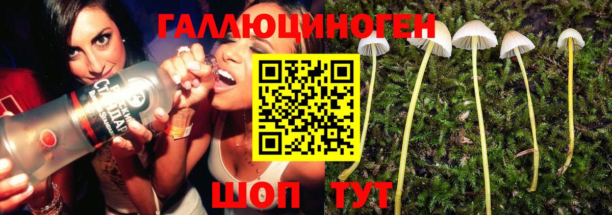 купить  цена  Псилоцибиновые грибы MAGIC MUSHROOMS  Вход с VPN  Ижевск  Галлюциногенные грибы прущие грибы 
