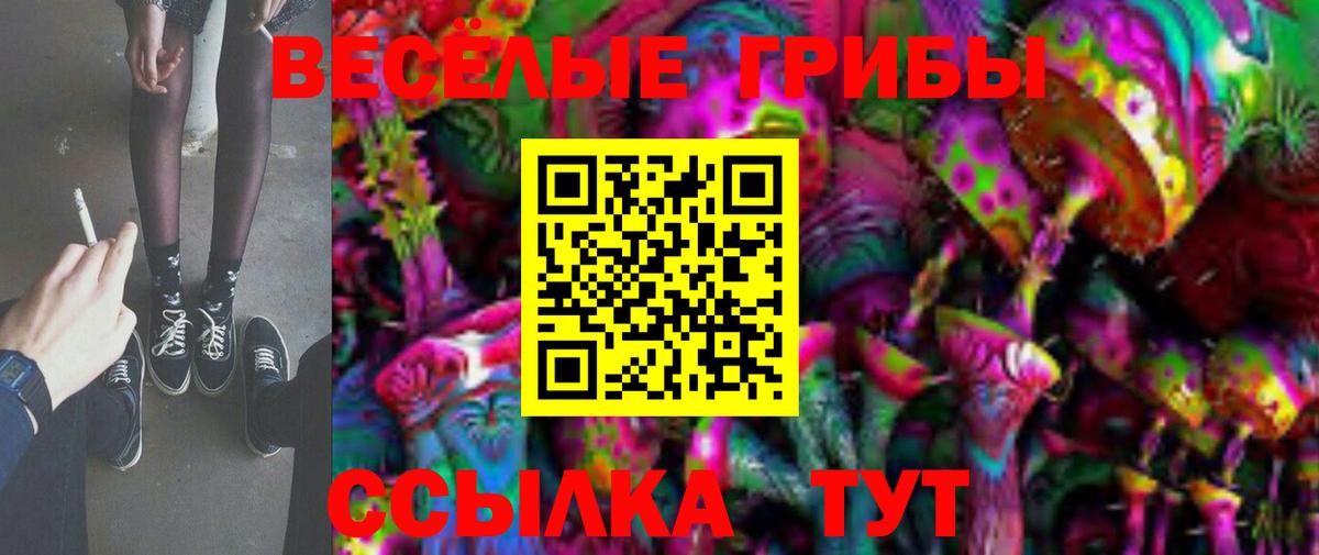 Псилоцибиновые грибы GOLDEN TEACHER Ижевск