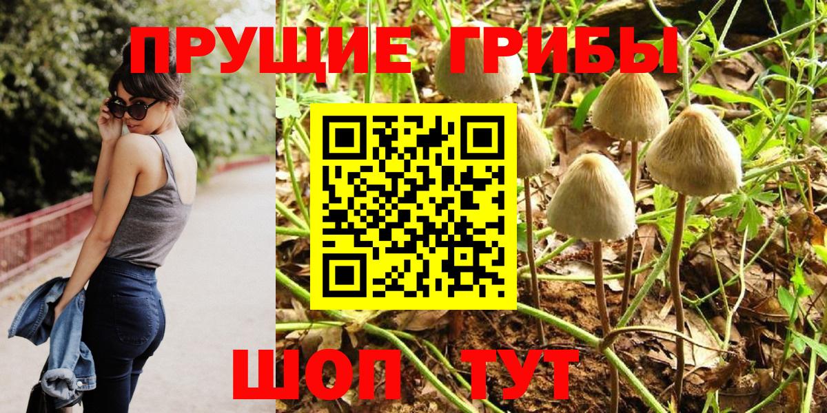 Псилоцибиновые грибы Psilocybine cubensis  Псилоцибиновые грибы мухоморы  Ижевск 